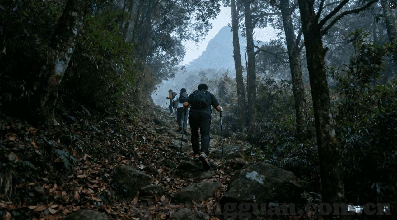 世界杯竞猜数据统计-世界杯竞猜，数据背后的故事