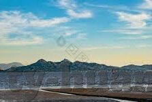 在线下载九游-在线下载九游，打造个性化游戏天地的新途径